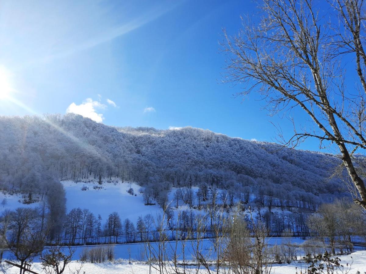 Gite De L Aspre Fontanges Dış mekan fotoğraf